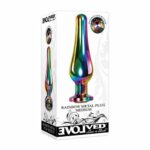 Evolved Rainbow Metal Plug Medium anal plug